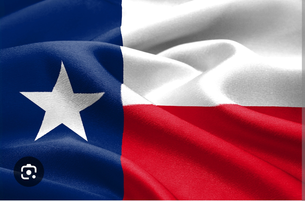 Logo for NTX young guns